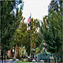 Chico's War Memorial, Honoring Our Nation's War Heroes. One of my uncles has his name engraved on that wall. Our men and women in service to their country deserve our gratitude and deepest respect. God bless them all. 