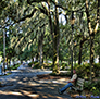 A Patriot In The Park, Old Savannah