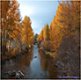 Fall in the Sierras