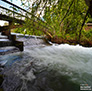 1 Mile Dam and Footbridge in Chico, California