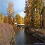 Chester Creek in the Fall