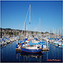 Monterey Bay Yacht Harbor 2