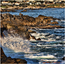 Rocky Pacific Grove Coast