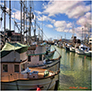 Fishing Fleet, Fishermen's Wharf