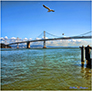 Bay Bridge