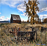 Ranching in the High Sierra.