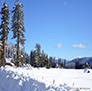 Snow covered meadow.